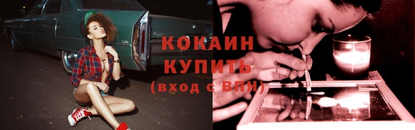 мдпв Лиски