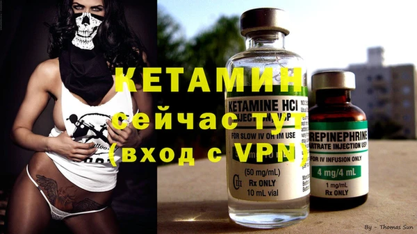 прущие грибы Магас
