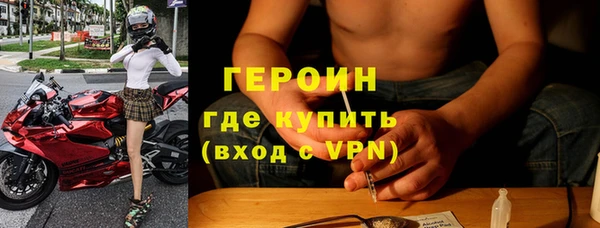 прущие грибы Магас