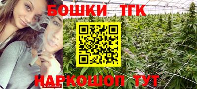 прущие крисы Кандалакша