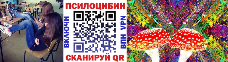 Псилоцибиновые грибы мицелий mega ТОР Сухой Лог