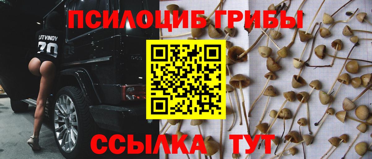Галлюциногенные грибы Cubensis  Вход с VPN  Сухой Лог 